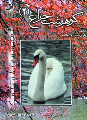 گوهر شب چراغ 2